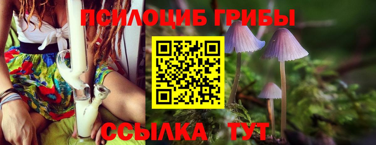 Галлюциногенные грибы мицелий  Вход с VPN  Сосновый Бор 